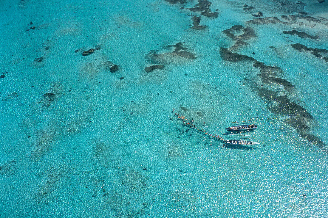 Luftaufnahme von Haifütterung,Bora Bora Lagoon, Französisch Polynesien