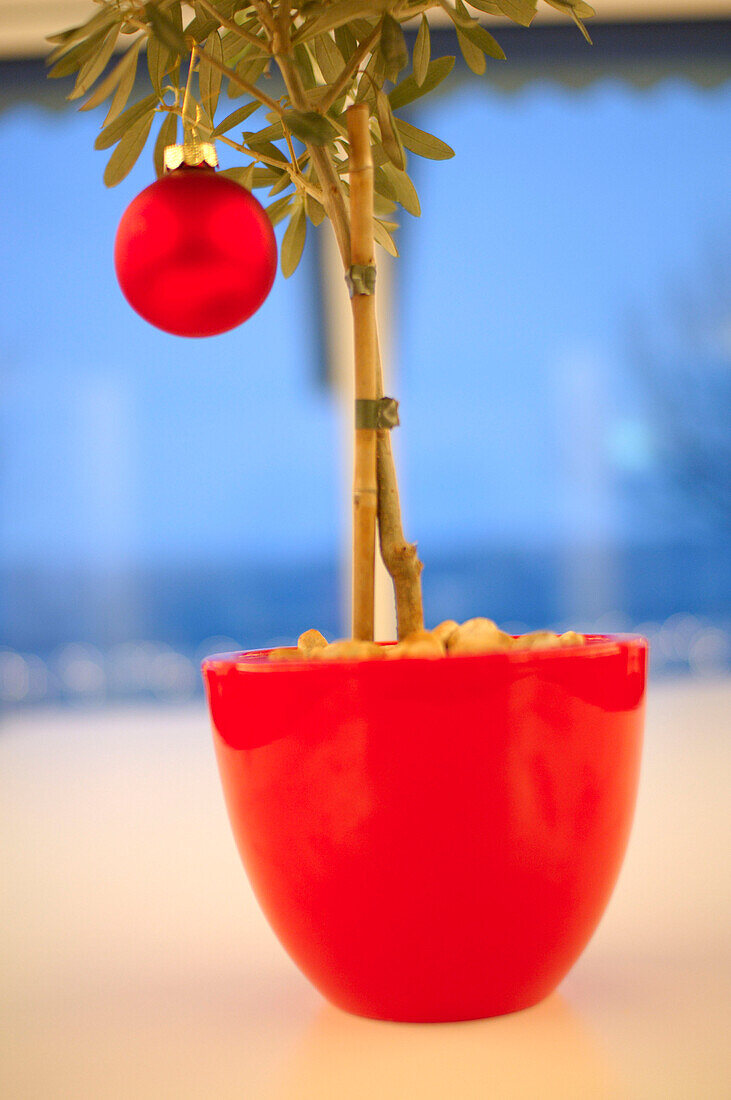 Bäumchen mit roter christbaumkugel