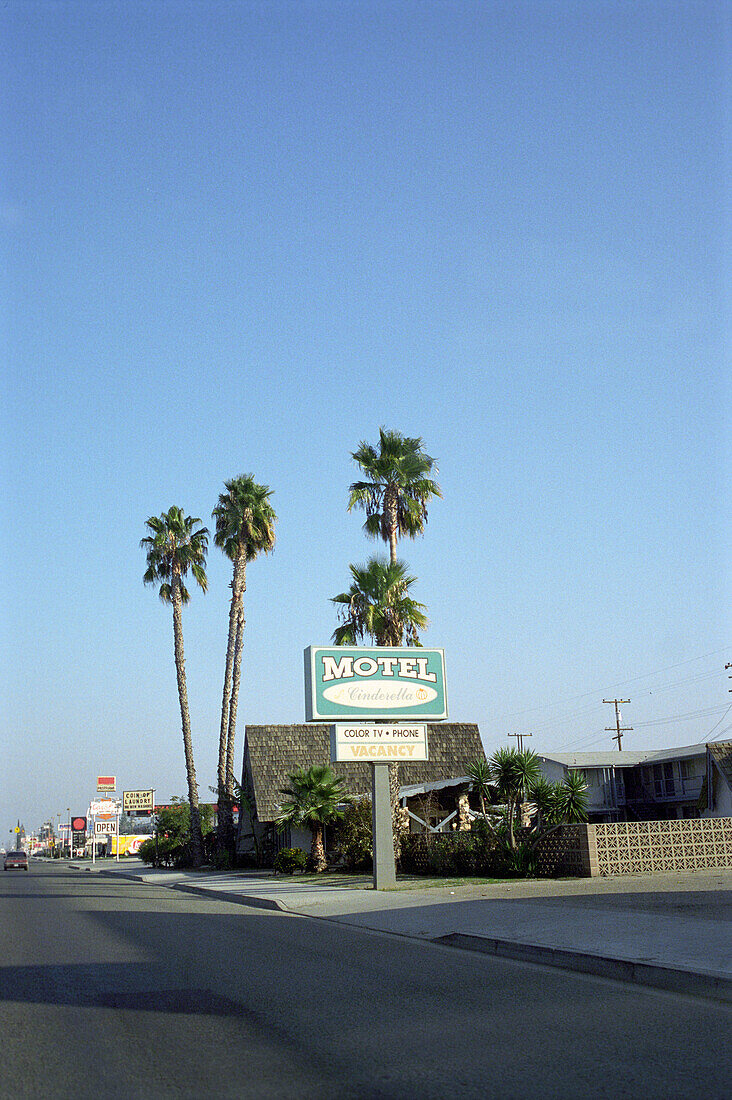 Palmen und ein Schild an einer Strasse, San Francisco, Kalifornien, USA