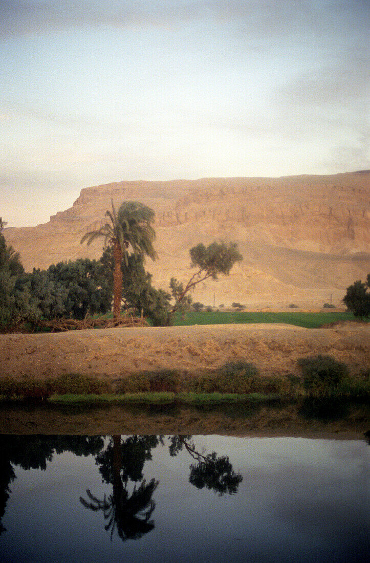 The calm waters of the Nile reflecting palm trees, Egypt