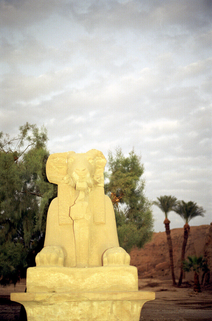 Sphinx karnak tempel,  luxor , ägypten