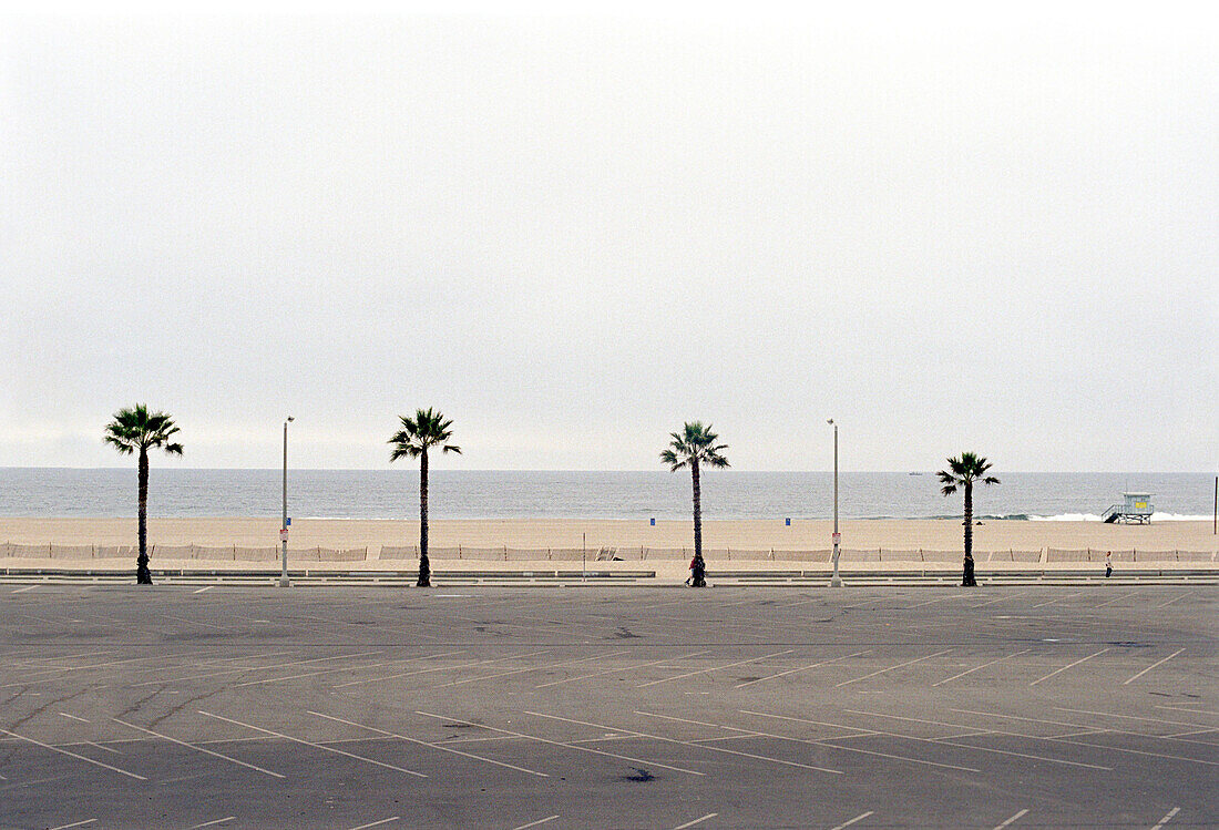 Palmen stehen an eienm leeren Parkplatz am Venice Beach, Los Angeles, Kalifornien, USA