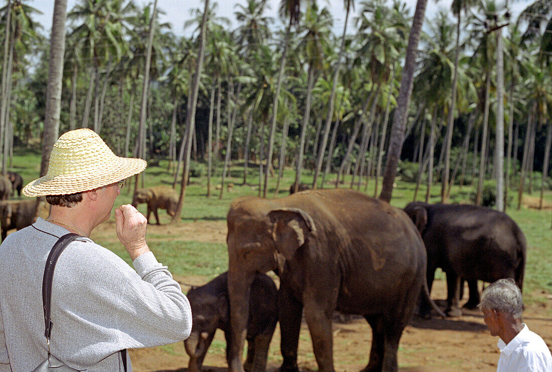 Tourist mit jungen Elefanten, Sri Lanka