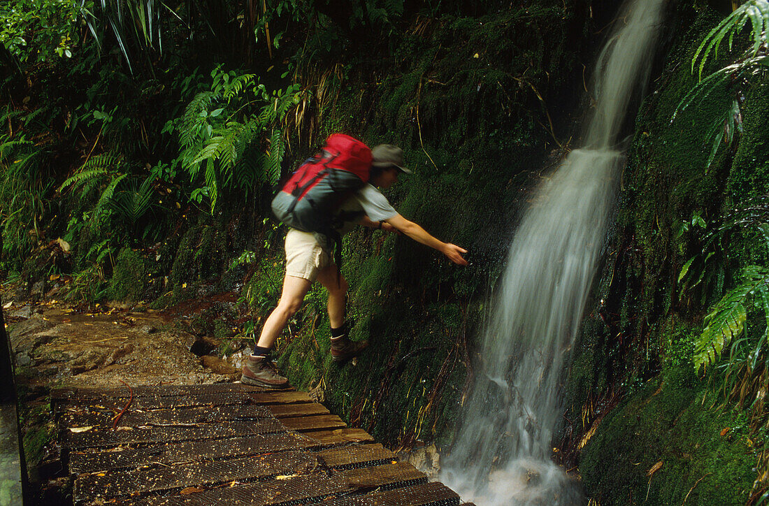 One hiker near waterfall, Heaphy Track, Nature Reserve, South Island, New Zealand