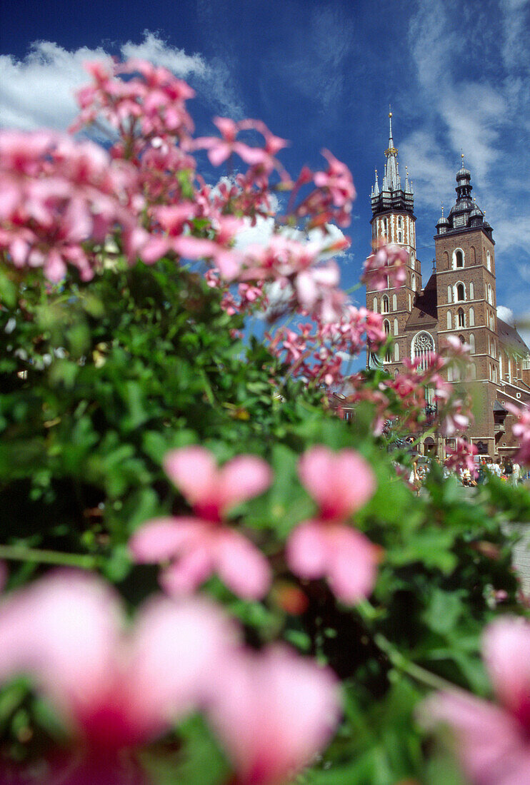 Marktplatz und Kirche der Jungfrau Maria, Krakau, Polen