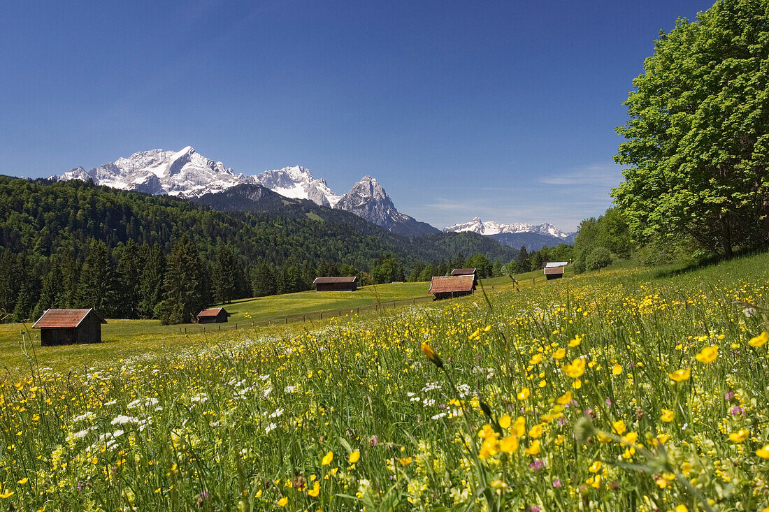 Alpine landscape with wooden cabins, Werdenfelser Land, Wetterstein Mountains, Upper Bavaria, Germany