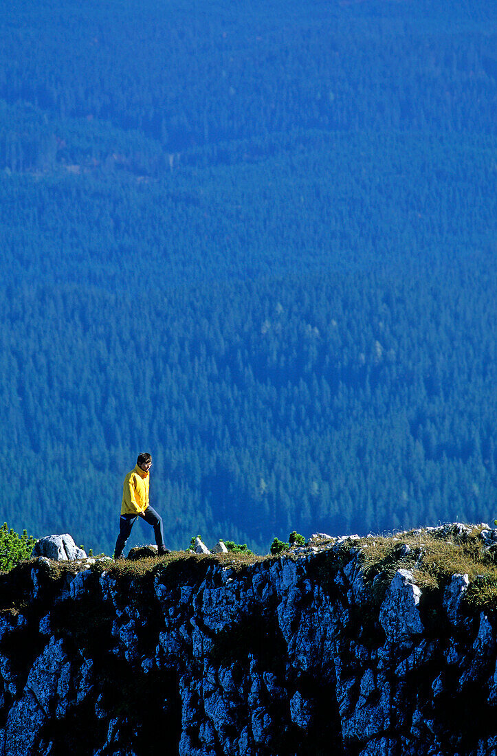 Woman hikes on an exposed mountain ridge, Debela Pec,  Pokljuka forest in the backround, Triglav Nationalpark, Julian Alps, Slovenia, Alps