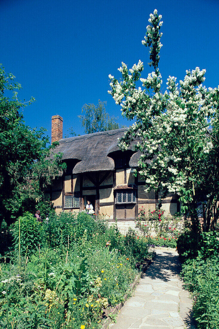Anne Hathaway's house in Spring, Stratford upon Avon, Warwickshire, England
