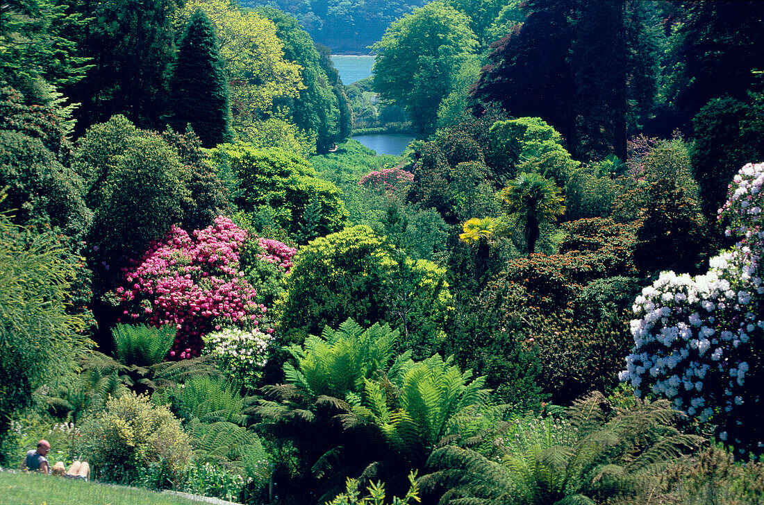 People relaxing in Trebah Gardens, Cornwall, England