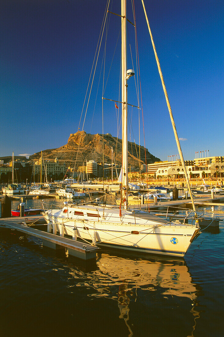 Yachthafen,Castillo de Santa Barbara,Hafen,Alicante,Spanien