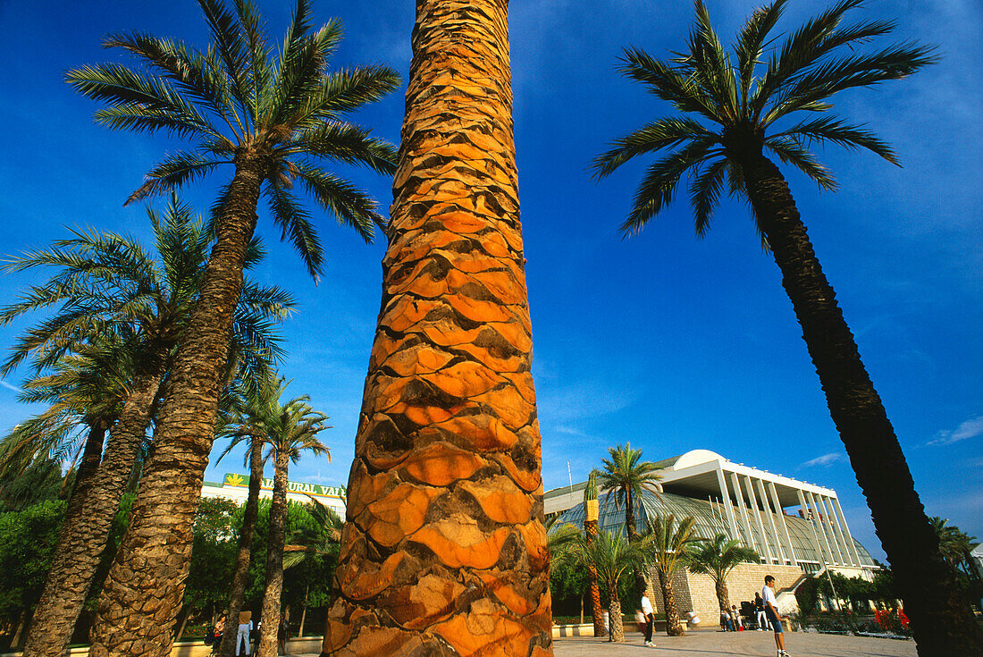 Music palace,Palacio de la Musica,Cauce del Rio Turia,Valencia,Spain