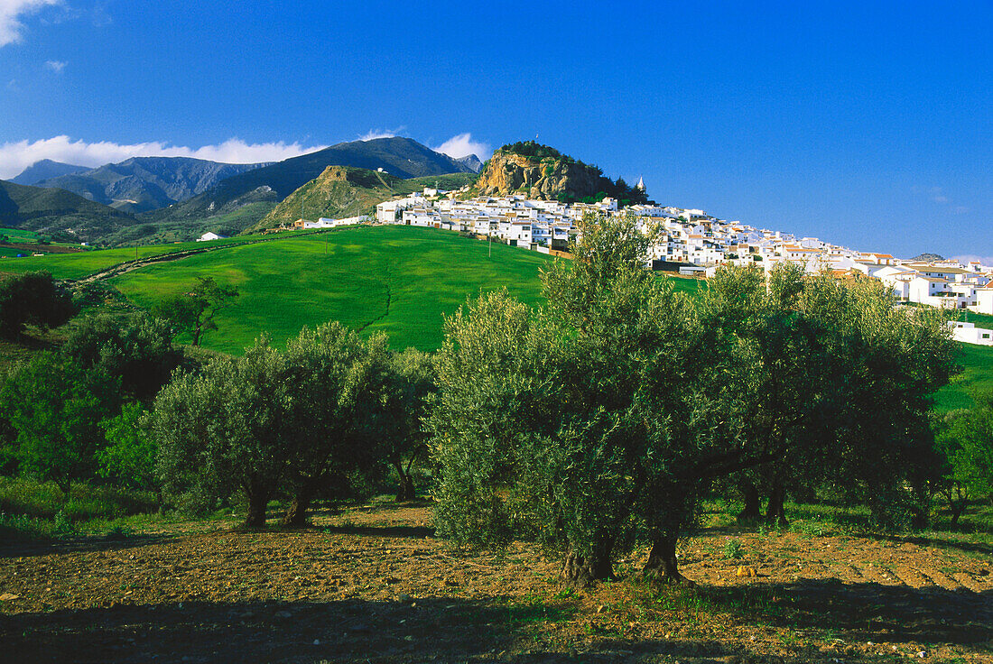 Ardales,"Weißes Dorf",bei Alora,Provinz Malaga,Andalusien,Spanien