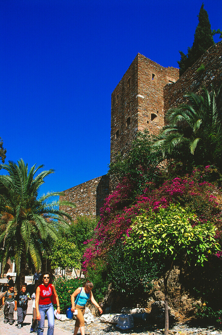 Fortification,Salida al Haza,Alcazaba,Malaga,Andalusia,Spain