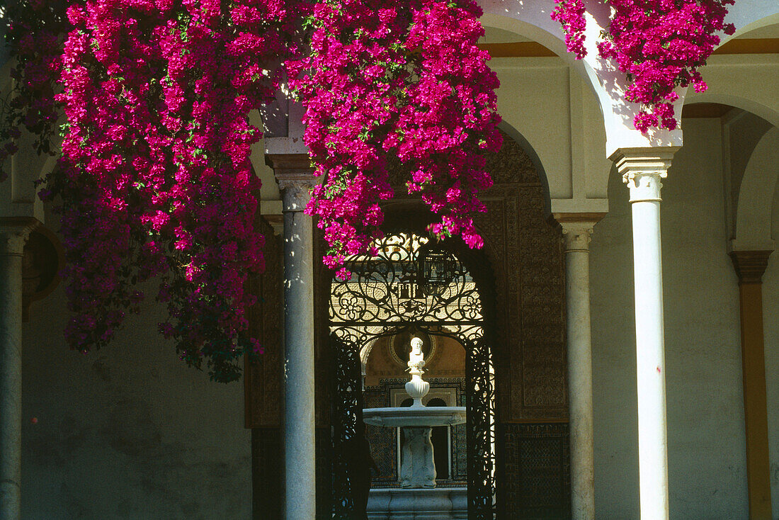 Haus des Pilatus,Casa de Pilatos,Sevilla,Andalusien,Spanien