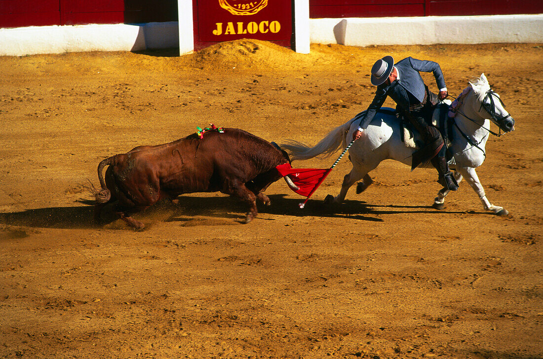 Bull fight on horse, Rejoneo, Feria, Zafra, Province Badajoz, Extremadura, Spain