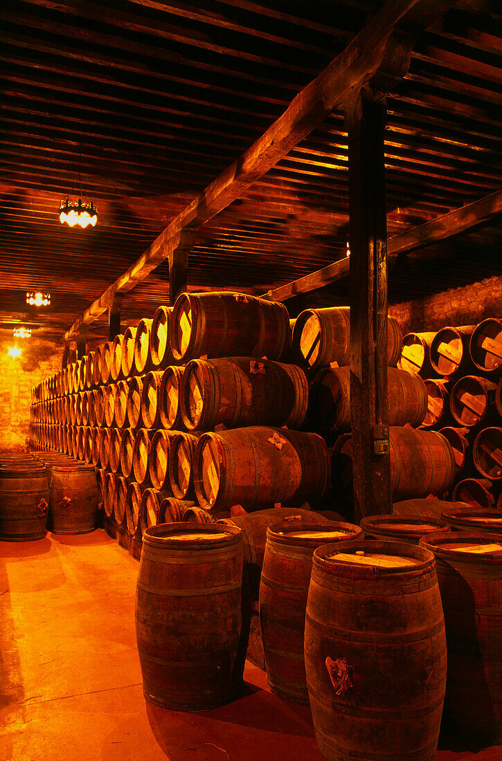Wine cellar in the winery "Bodegas Muga",Haro,La Rioja,Spain