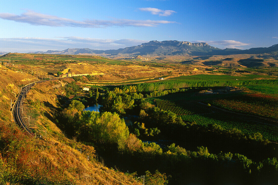 Weinberge, Rio Ebro, Eisenbahn, Tal des Ebro, in der Nähe von Briones, in der Nähe von Haro, La Rioja, Spanien