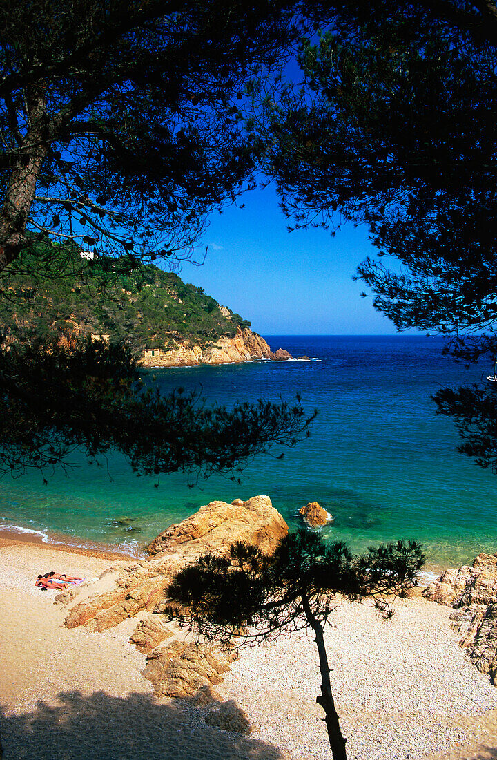 Tamariu beach, near Palafrugell,Costa Brava,Province Girona,Catalonia,Spain