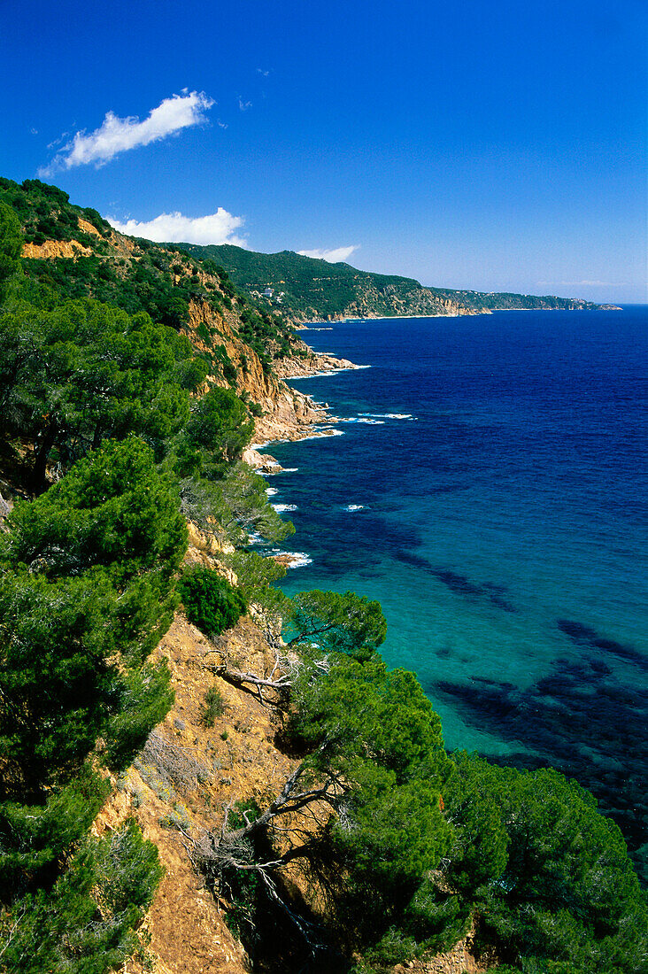 Coast near Tossa de Mar, Costa Brava, Province Girona, Catalonia, Spain