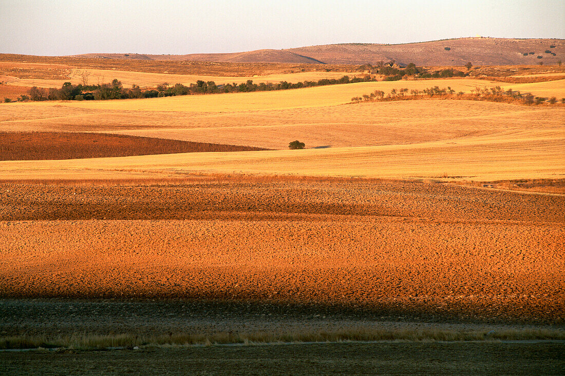 Fields near Ucles,Province Cuenca,Castilla-La Mancha,Spain