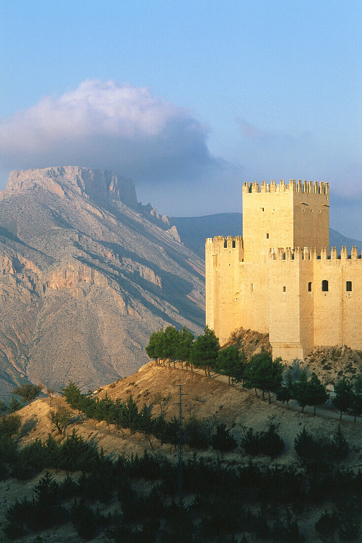 Castillo vor dem Berg,La Muela,Velez Blanco,Provinz Almeria,Andalusien,Spanien