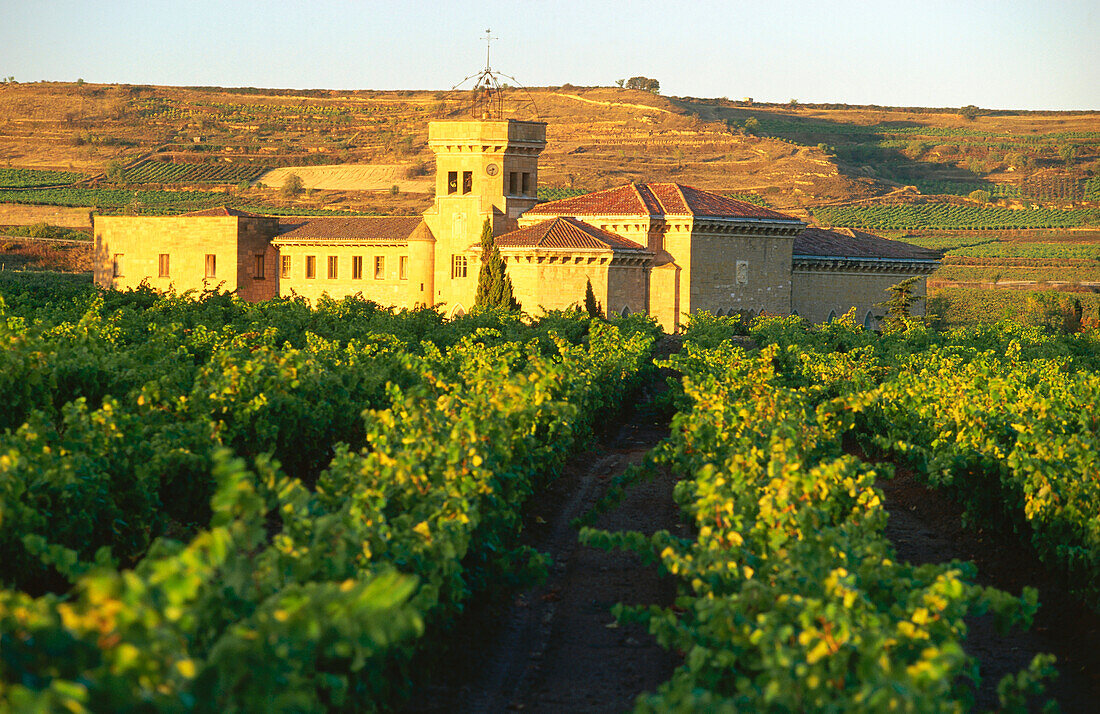 Vineyards and monastey,Monasterio de la Estrella,near San Asensio (Haro),La Rioja,Spain