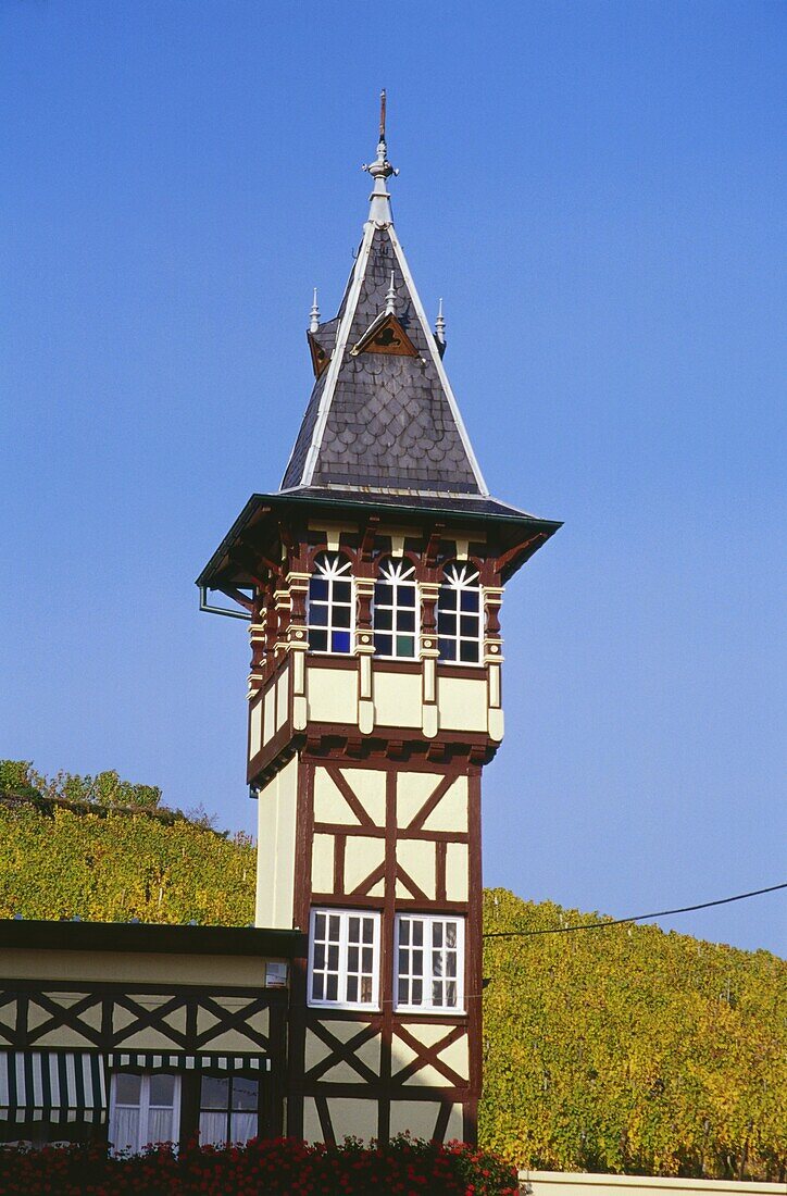 Weingut in Ribeauville,Elsass,Frankreich