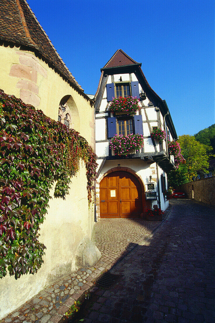 Winery Jean Dietrich in Kaysersberg,Elsass,France