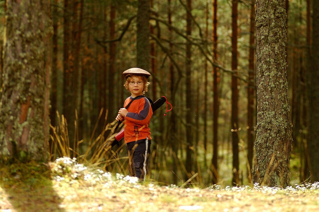 Tom in pine forest, Lahemaa, Estonia