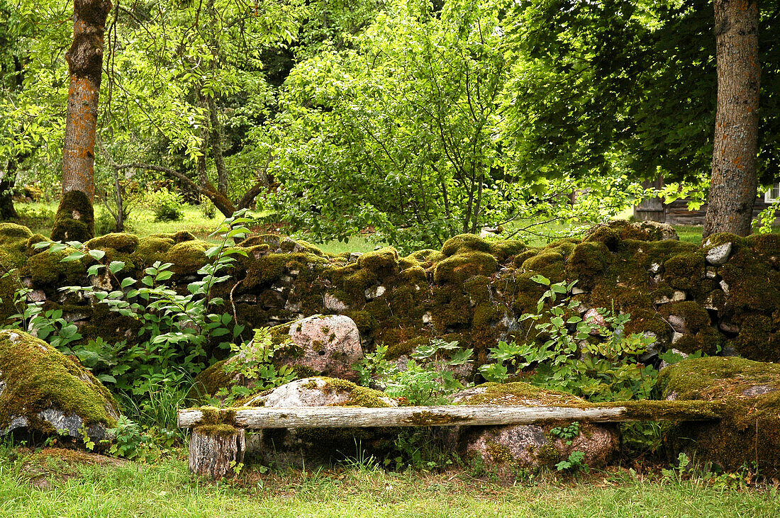 stonewall with moss in Koguva village, Muhu island, Estonia