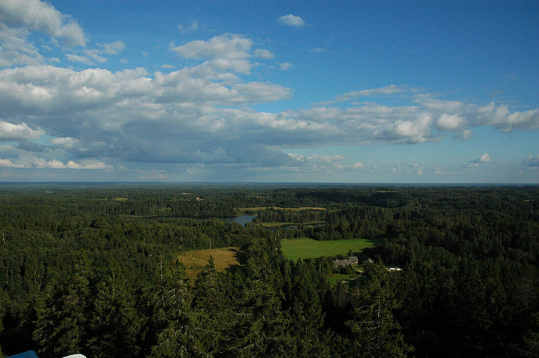 view from Suur Munamägi, Hanja NP, Voru, Estonia