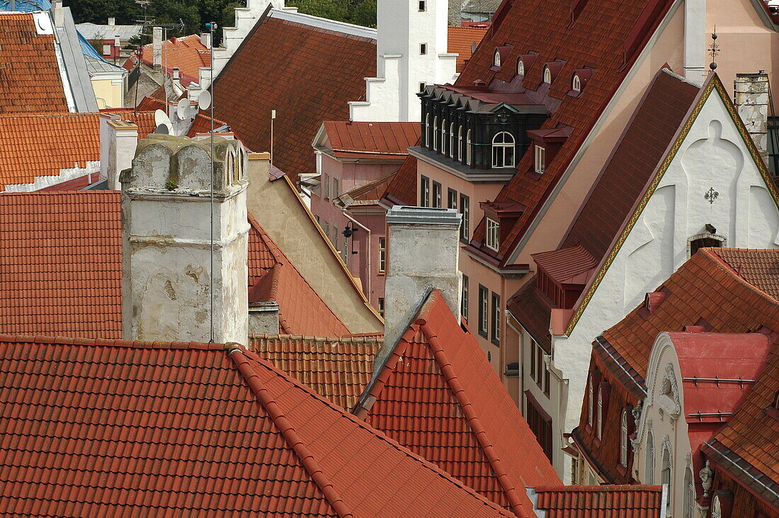view from the cathedral hill down to the old town of Tallinn, Estonia