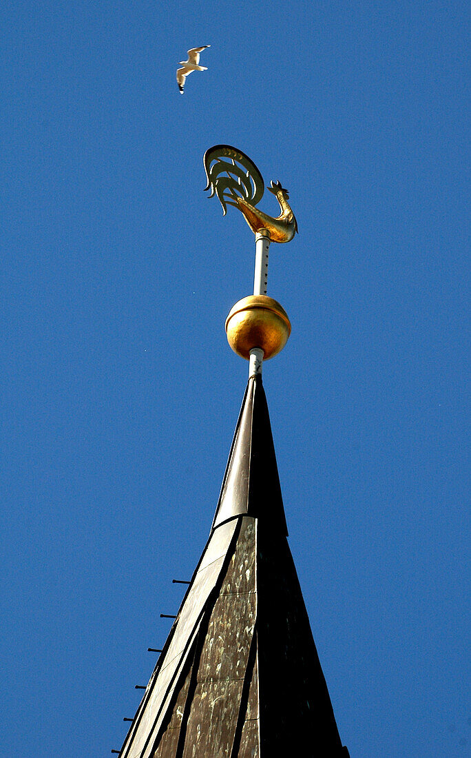 Wetterhahn auf der Johanniskirche, Tartu (Dorpat), Estland