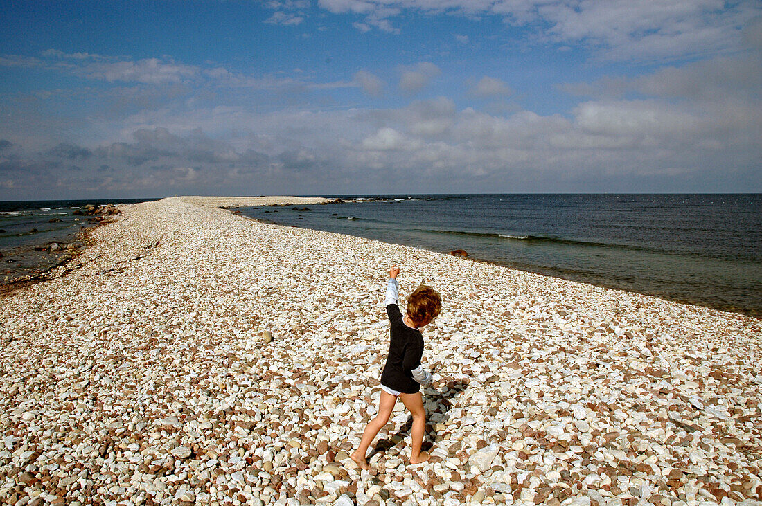 Tom on stony spit, Kopu peninsula, Hiiumaa, Estonia