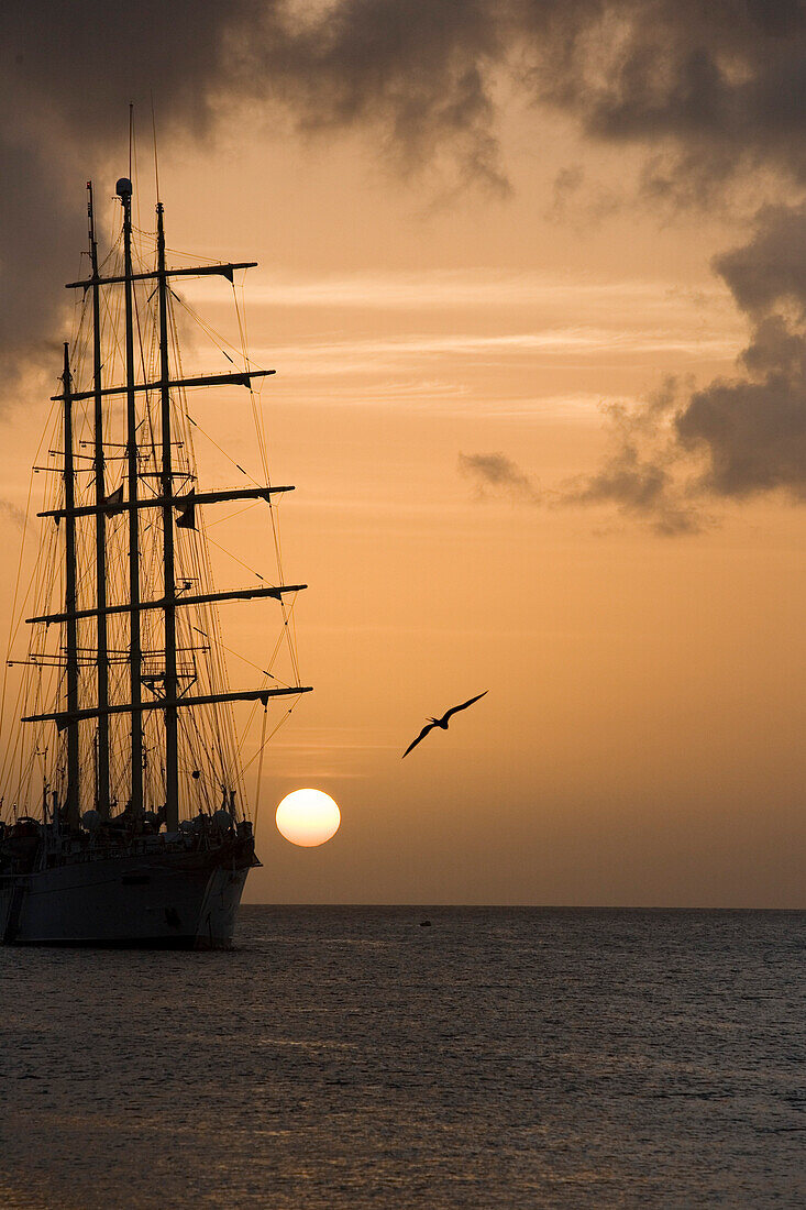 Star Clipper at Sunset, Le Bourg, Terre-de-Haut Island, Ile des Saintes, Guadeloupe