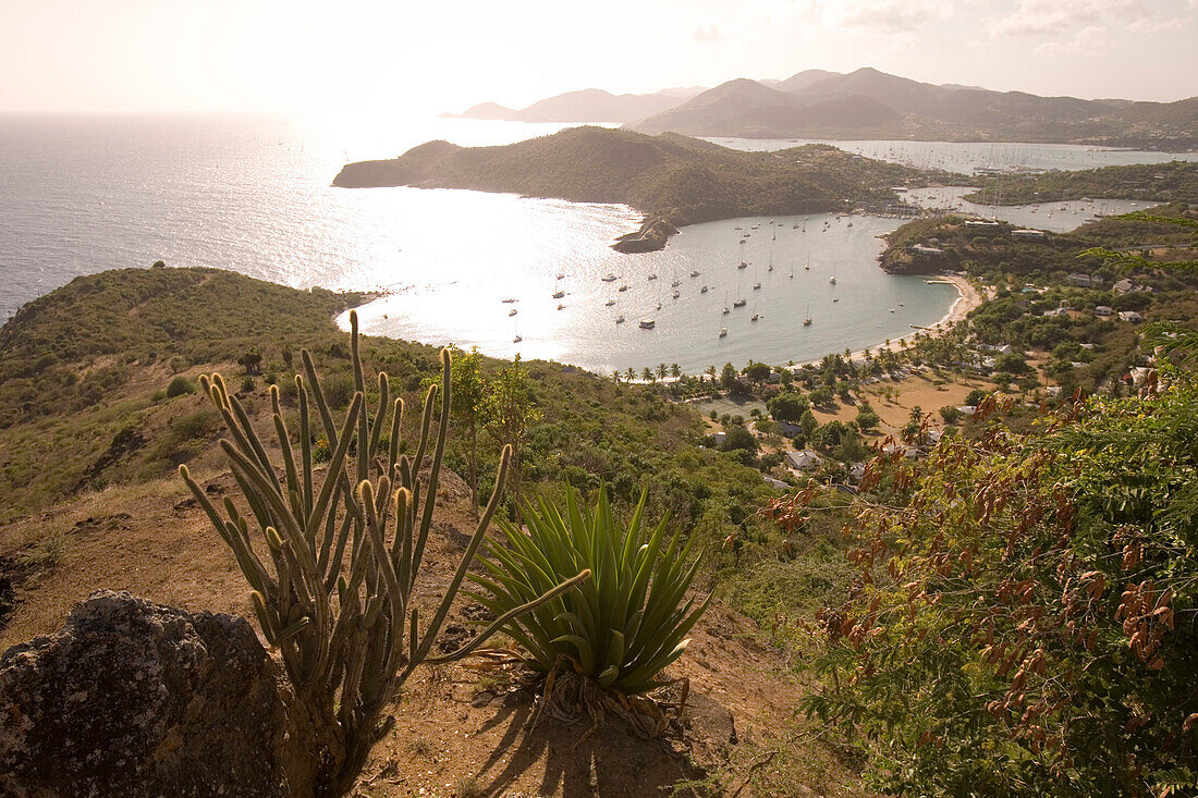 Cactus &und English Harbour, View from Shirley Heights, Antigua