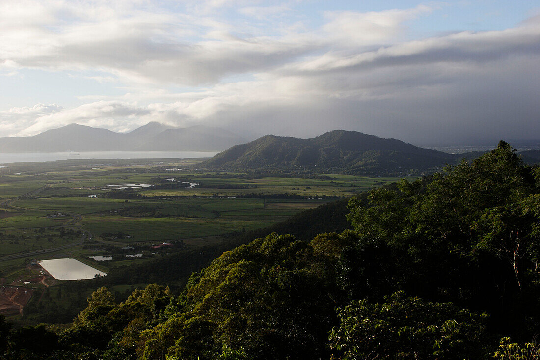 Cairns Hochland, Tropischer Regenwald, Kuranda, bei Cairns, Queensland, Australia