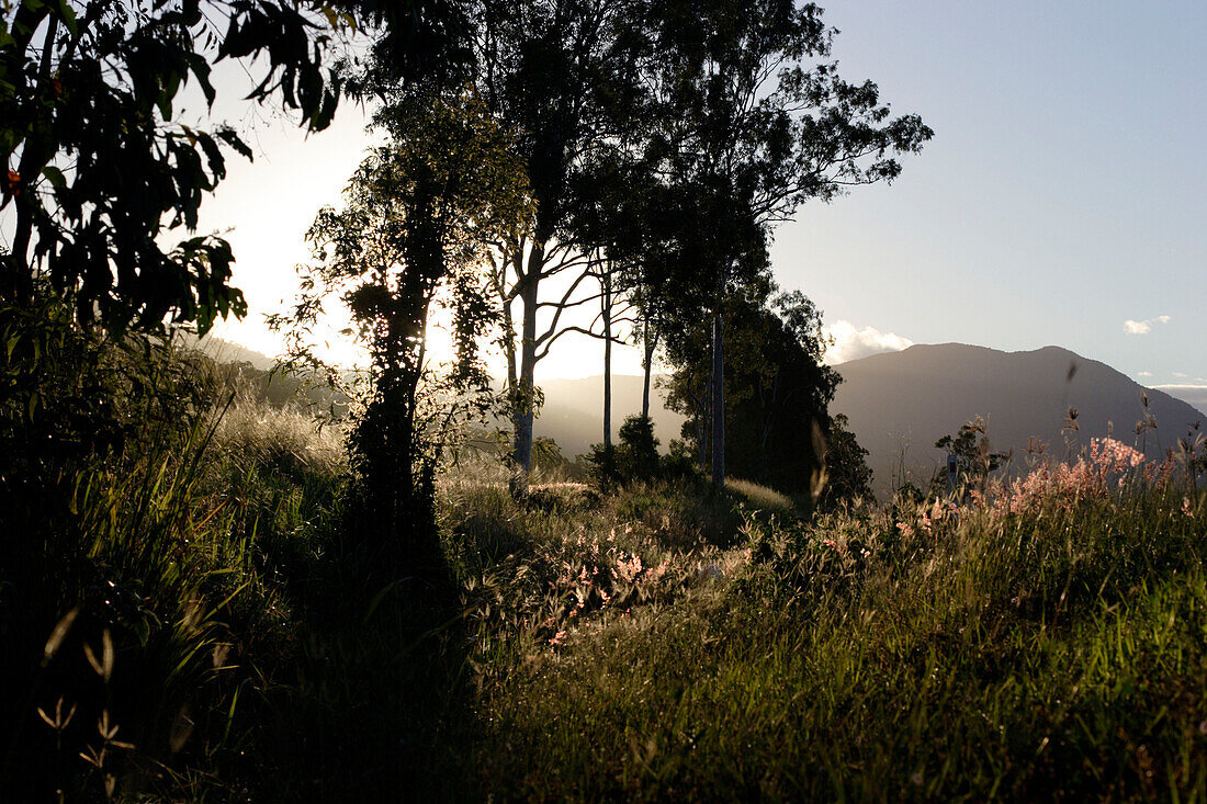 Idyllische Landschaft bei Sonnenaufgang, Queensland, Australien