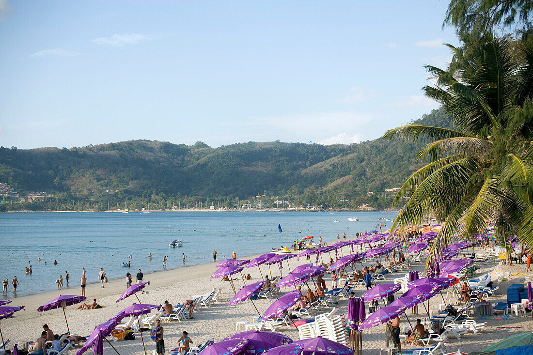 View over Patong Beach with a lot of purple parasols, Ao Patong, Hat Patong, Phuket, Thailand, after the tsunami