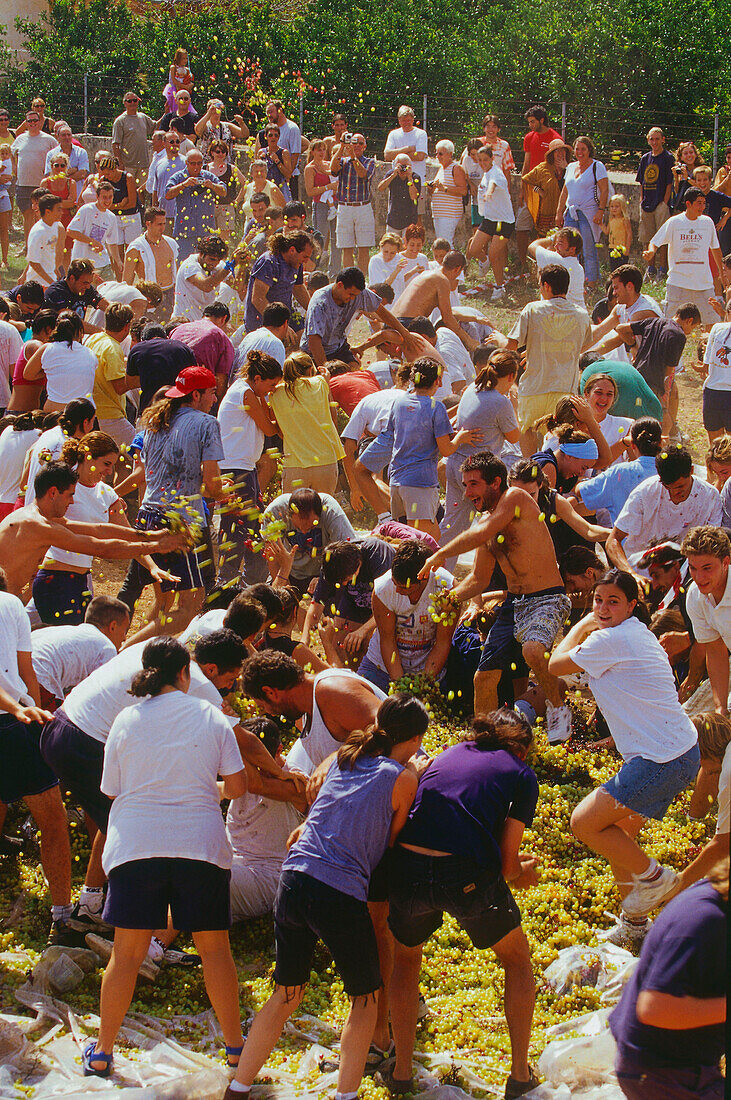 Group of people having a grape fight at the Wine Festival, Benissalem, Mallorca, Spain