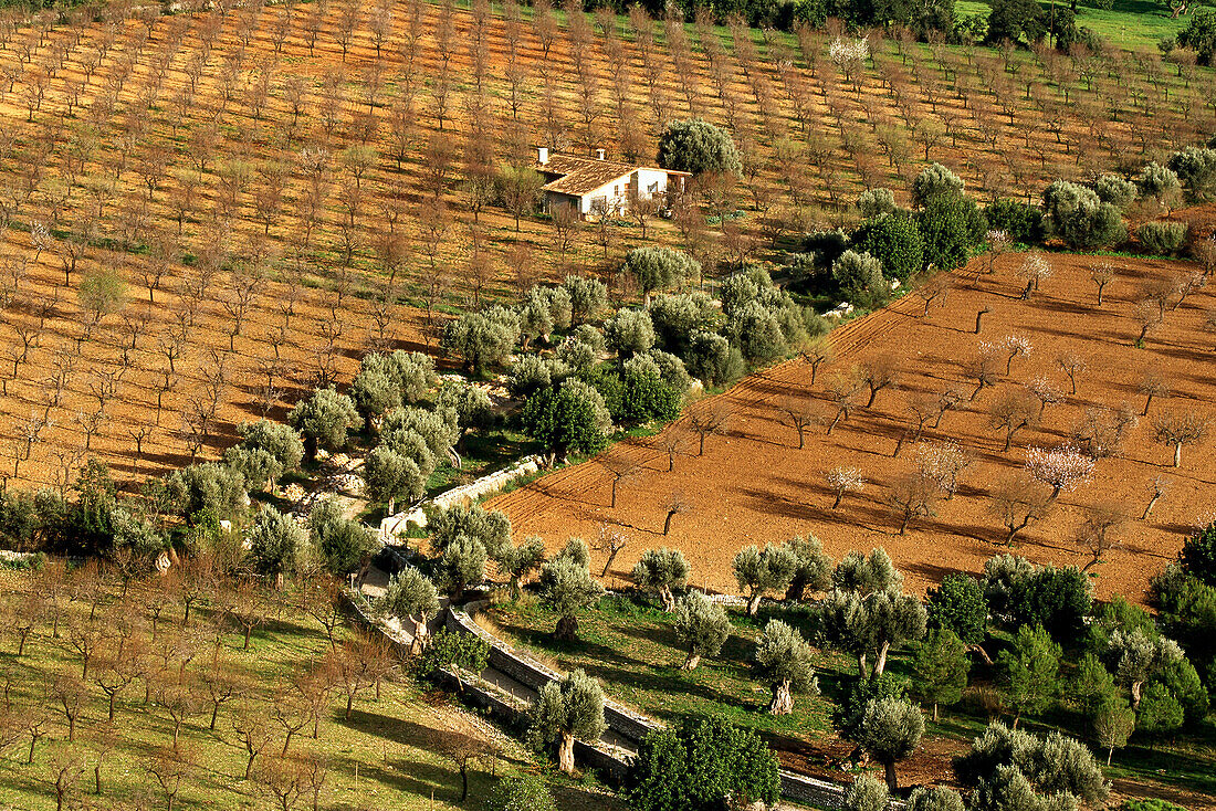 Ausblick über einem Landgut mit Mandelblüte, Raixa, bei Bunyola, Mallorca, Spanien