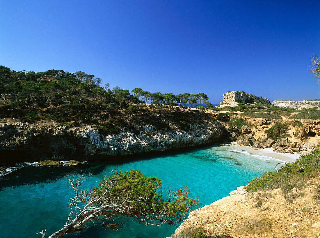 Einsame bucht Cala S'Amonia, bei Santanyi, Mallorca, Spanien