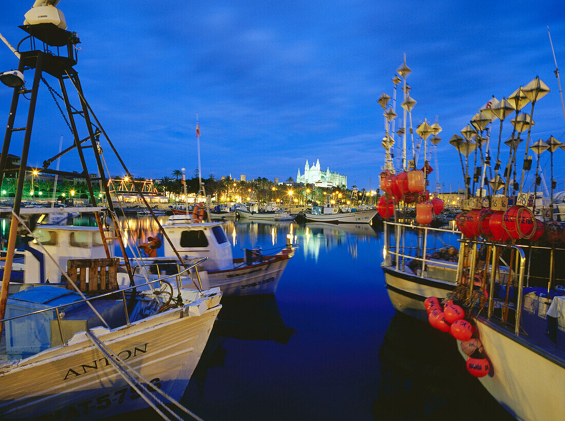 Fishing boats and harbour with cathedral La Seu in the background, Mallorca, Spain