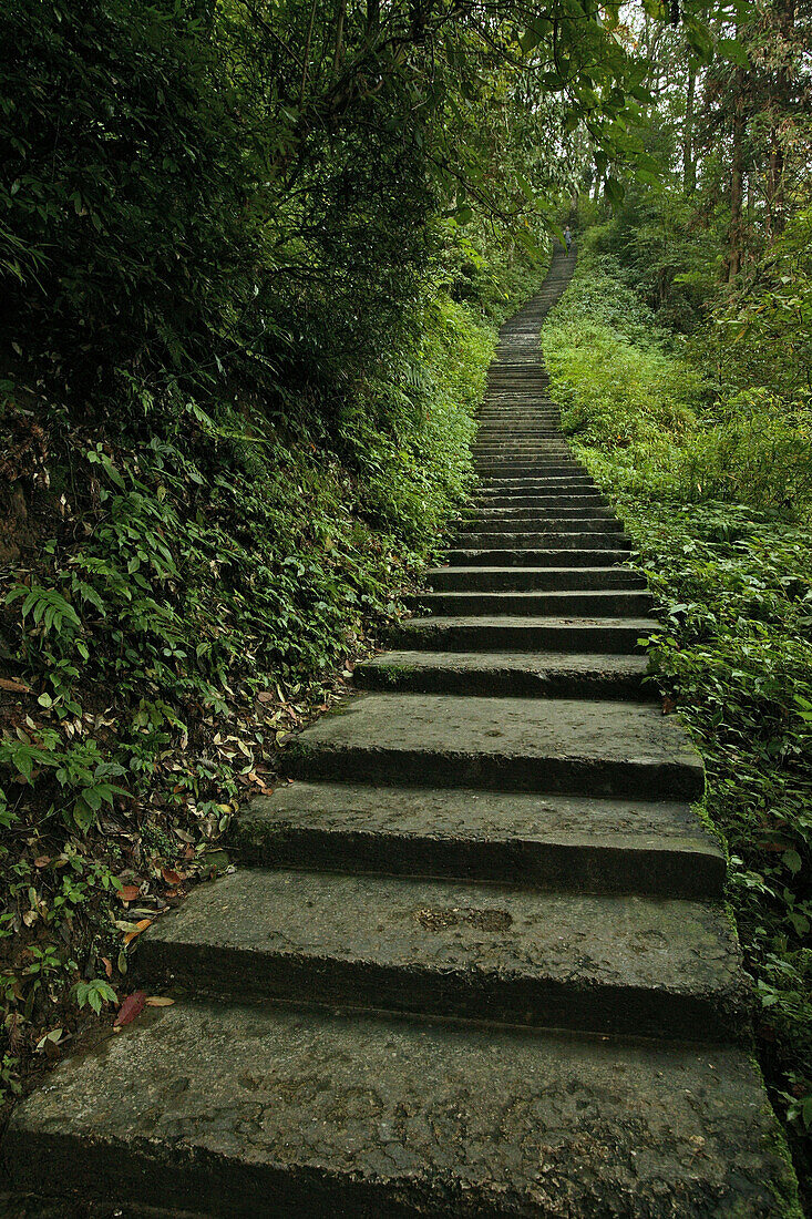 Pilgerweg und Treppen führen den Berg hinauf, Emei Shan, Provinz Sichuan, China, Asien