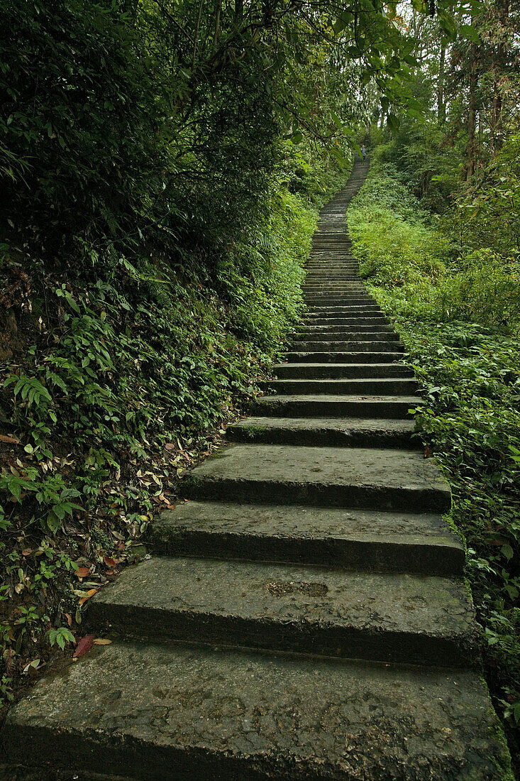 Pilgrimage route and stairs leading up the hill, Emei Shan, Sichuan province, China, Asia