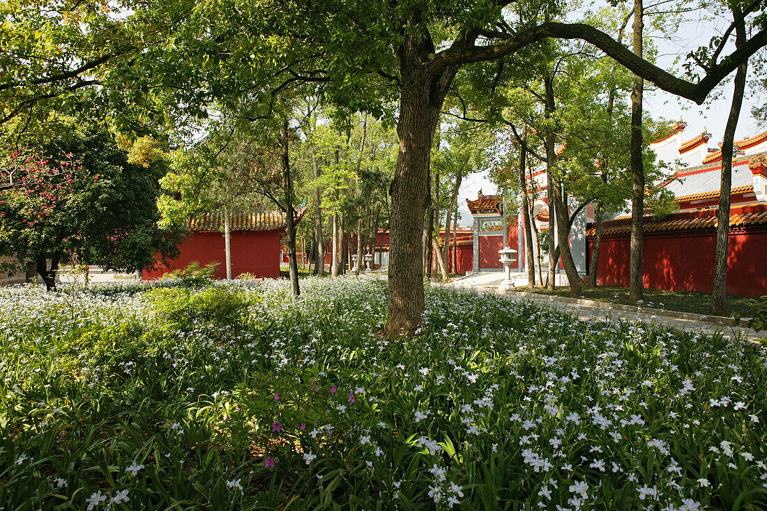 Großer Temple, Heng Shan Süd,Garten im Vorhof des Großen Tempel, rote Klostermauer, taoistische Hengshan Süd, Provinz Hunan, China, Asien
