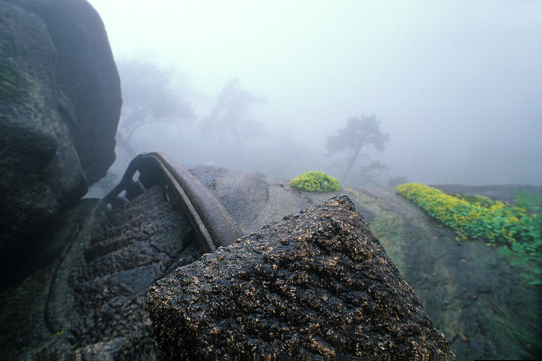 Stone steps in the fog leading up the mountain, Huang Shan, Anhui province, China, Asia