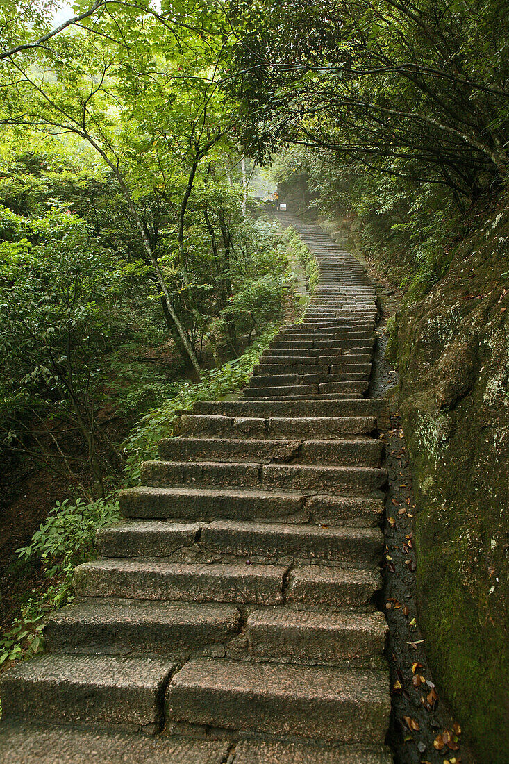 Pilgrimage route, Stone steps in the forest, Huang Shan, Anhui province, China, Asia
