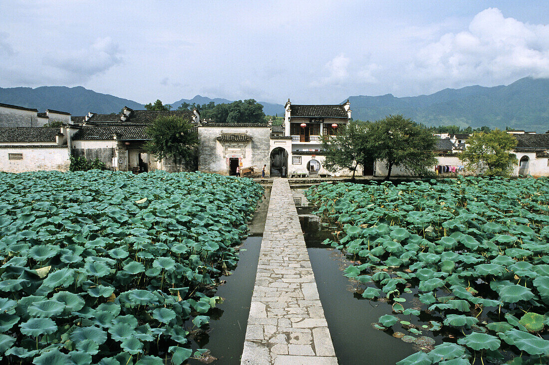 traditionelles Dorf, Hongcun,Brücke und Steg, Seerosenteich, traditionelles Dorf, Hongcun, China, Asien Weltkulturerbe, UNESCO