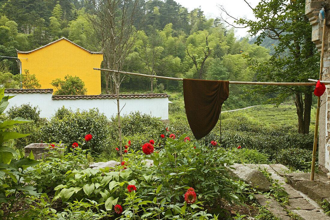 Idyllic garden of the nunnery at the village Minyuan, Jiuhua Shan, Anhui province, China, Asia